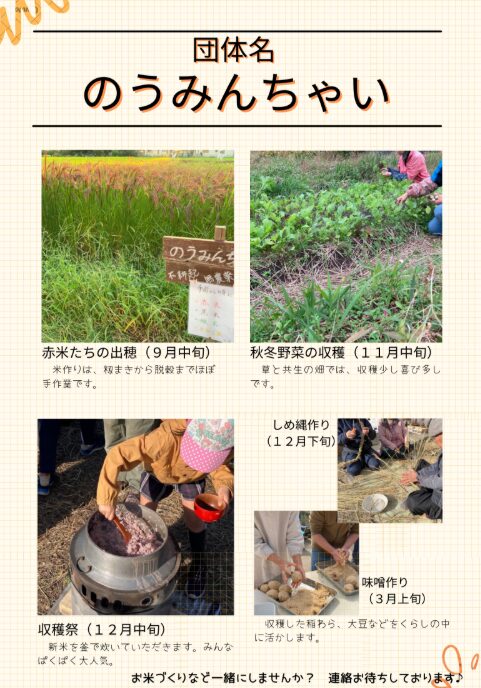 のうみんちゃい